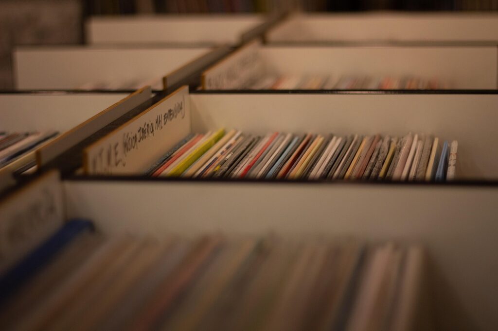 Vinilos en cajas ordenadas por un coleccionista
